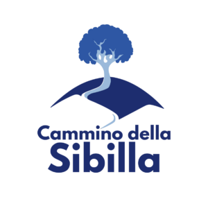 Collaborazione con Claudio Pupi
